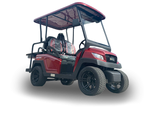 golf cart repair service, singer island cart repair pickup, golf cart inspection
